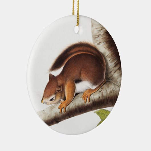 Richardsons kolumbianische EichhörnchenIllustratio Keramik Ornament (Rechts)