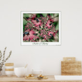 Riches of Spring Poster (Küche)