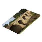 Richmond Bridge (Australiens älteste) Magnet (Linke Seite)