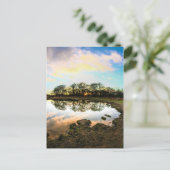 Richmond Park, London Postkarte (Stehend Vorderseite)