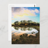 Richmond Park, London Postkarte (Vorne/Hinten)