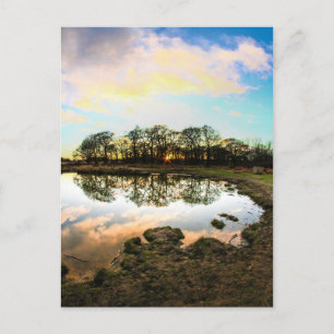 Richmond Park, London Postkarte