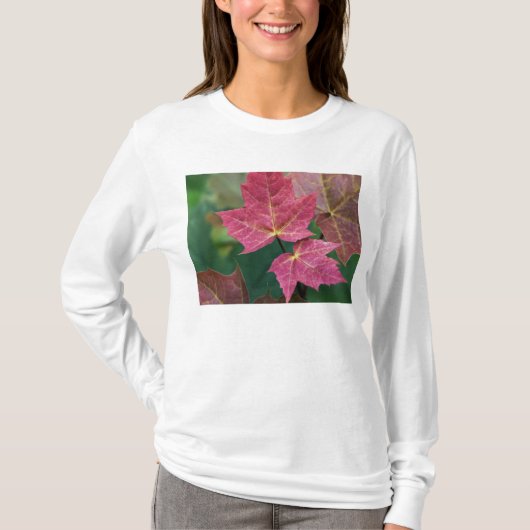 richten Sie zu Ihnen aus T-Shirt (Vorderseite)