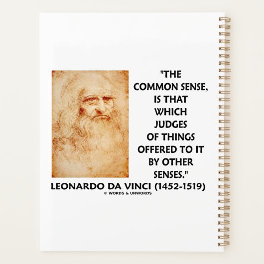 Richter des gesunden Menschenverstandes Leonardo d Planer (Rückseite)