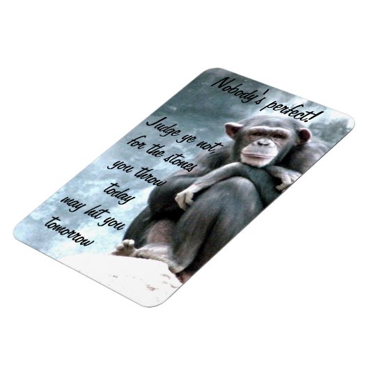 Richterin nicht!_ magnet (Linke Seite)