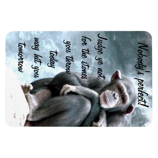 Richterin nicht!_ magnet (Horizontal)