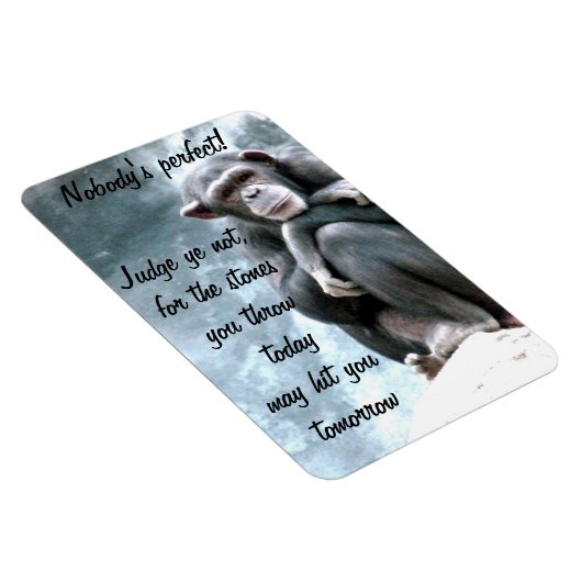 Richterin nicht!_ magnet (Rechte Seite)