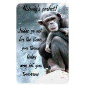 Richterin nicht!_ magnet (Vertikal)