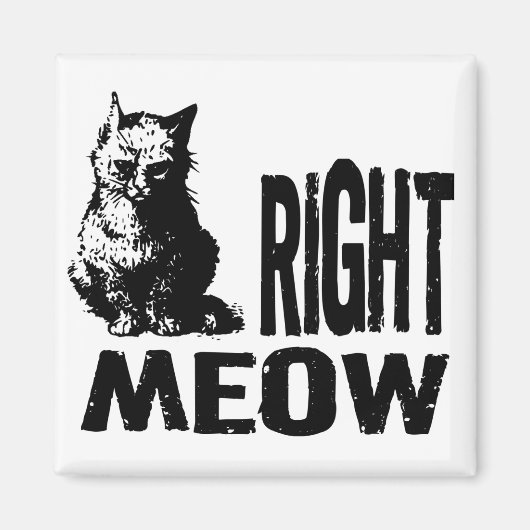 Richtig! Funny Evil Kitty Magnet (Vorne)