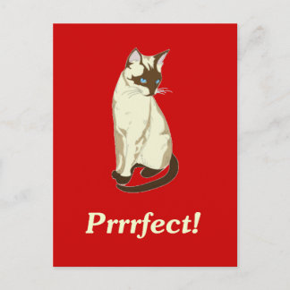 Richtig! Postkarte