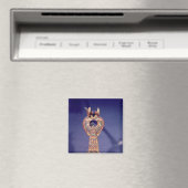 Richtiger Ohrring aus Paarbildern mit Magnet (In Situ (Geschirrspüler))