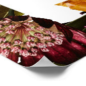 Richtigkeit der Sitztabelle für den Nachnamen im F Poster (Ecke)