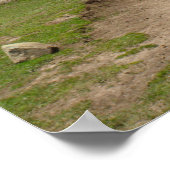 Richtung Himalayas Poster (Ecke)