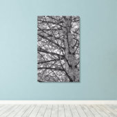 Richtung Pinienbäume Leinwanddruck (Insitu (Holzboden))