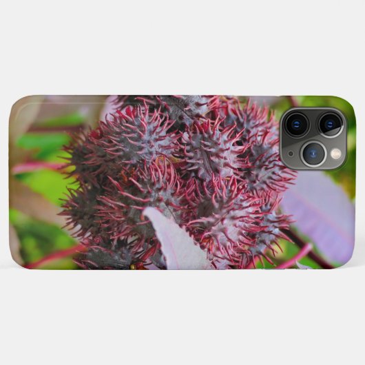 Ricinus communis Case-Mate iPhone hülle (Rückseite (Horizontal))