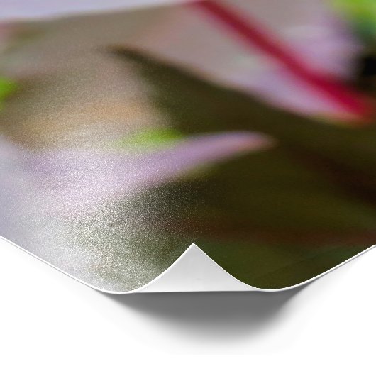 Ricinus communis fotodruck (Ecke)