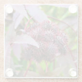 Ricinus communis glasuntersetzer (Rückseite)