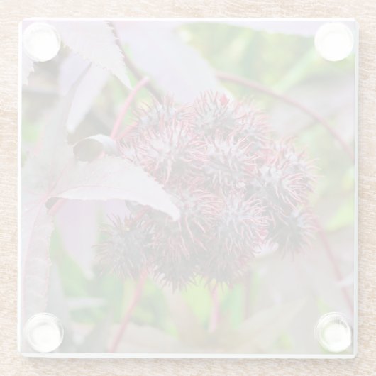 Ricinus communis glasuntersetzer (Rückseite)