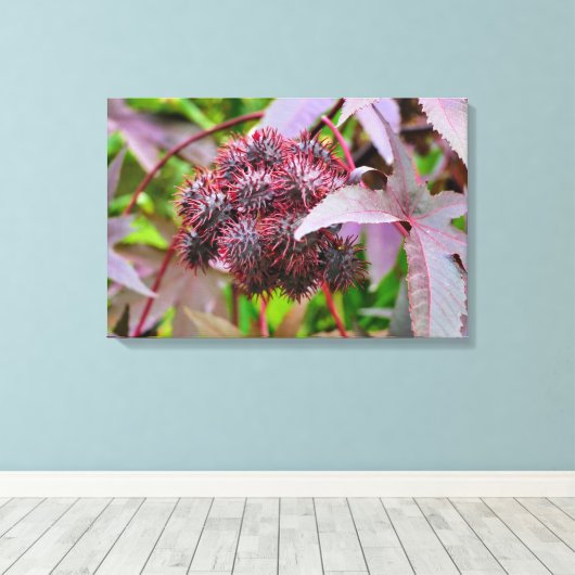 Ricinus communis leinwanddruck (Insitu (Holzboden))