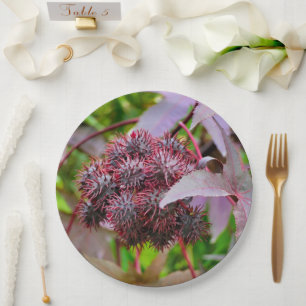Ricinus communis Paper Plate Pappteller