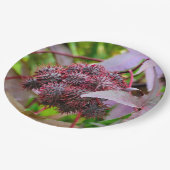 Ricinus communis Paper Plate Pappteller (Schrägansicht)