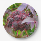 Ricinus communis Paper Plate Pappteller (Vorderseite)