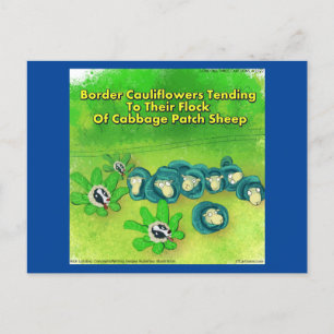 Rick London Lustiger Border Collie Blumen Comic  Postkarte