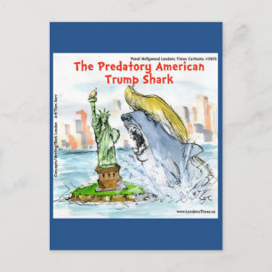 Rick London Lustiger Trump Hai Postkarte