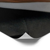 Rick Perry Poster (Ecke)