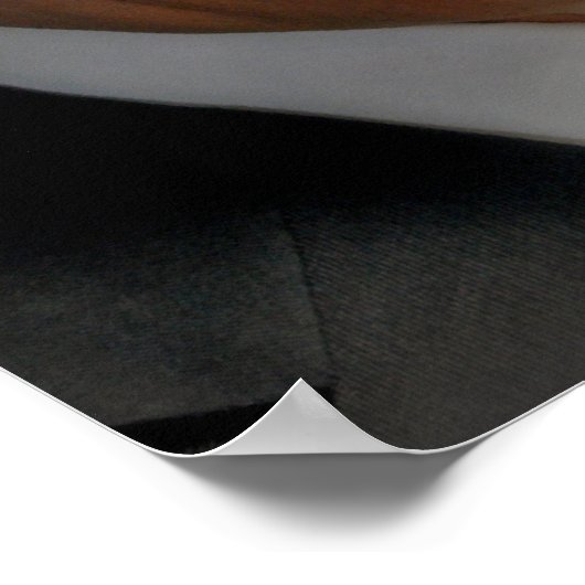 Rick Perry Poster (Ecke)