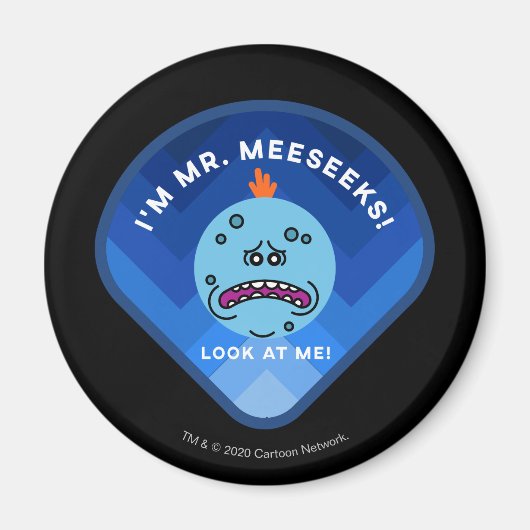 RICK UND MORTY™ | Muster für Außenraummuster Magnet (Vorne)