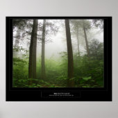 Ricketts Glen Poster (Vorne)