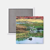 Ricketts Glen Staat Park, PA Magnet (Vorderseite/Rückseite)