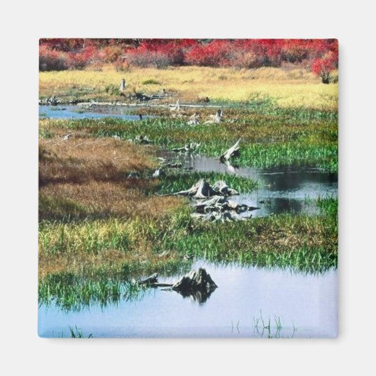 Ricketts Glen Staat Park, PA Magnet (Vorne)