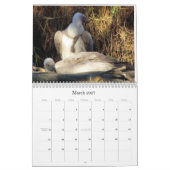 Ricks 2008 gelegentlicher Pics C… Kalender (Mär 2027)