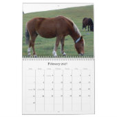 Ricks 2008 gelegentlicher Pics C… Kalender (Feb 2027)