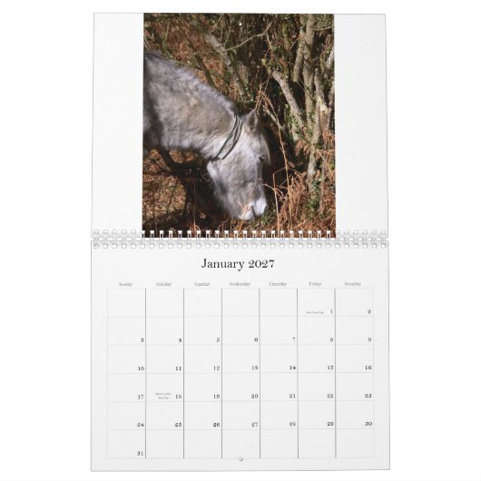 Ricks 2008 gelegentlicher Pics C… Kalender (Jan 2027)