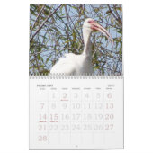 Ricks wilder Vogel-Kalender 2007 Kalender (Feb 2027)