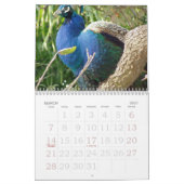 Ricks wilder Vogel-Kalender 2007 Kalender (Mär 2027)