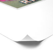 Rickseckers Dentaroma Vintag Toothpaste Ad Poster (Ecke)