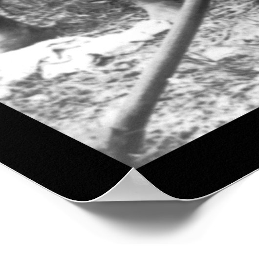 Rickshaw Boys Durban, Südafrika 1897 Poster (Ecke)