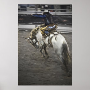 Ride 'Em Cowboy Fine Art Print Poster