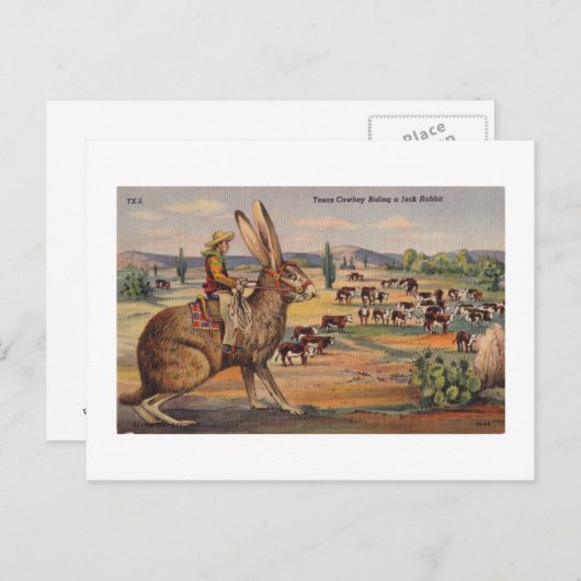 Ride'm Bunny! Postkarte (Vorne/Hinten)