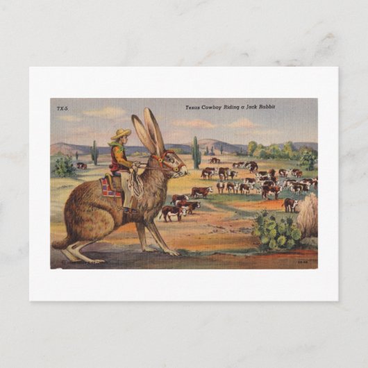 Ride'm Bunny! Postkarte (Vorderseite)
