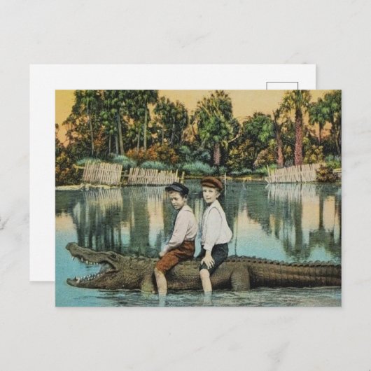 Ride'um Gator Funny Postcard Postkarte (Vorne/Hinten)