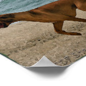 Ridgeback am Meer Poster (Ecke)