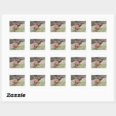 ridgeback mit 2 quadratischer aufkleber (Blatt)