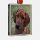 Ridgeback Welpe Silbernes Ornament (Rechts)