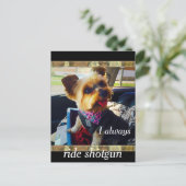 Riding Shotgun Yorkie Personalize Postkarte (Stehend Vorderseite)