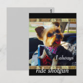 Riding Shotgun Yorkie Personalize Postkarte (Vorne/Hinten)